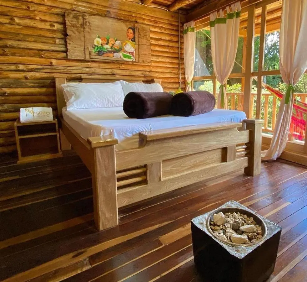 Eco Hotel Nigueito Medellín Kemp