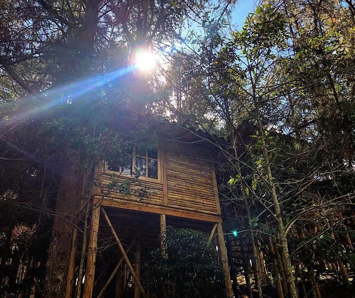 Kemp Eco Hotel Nigueito Medellín