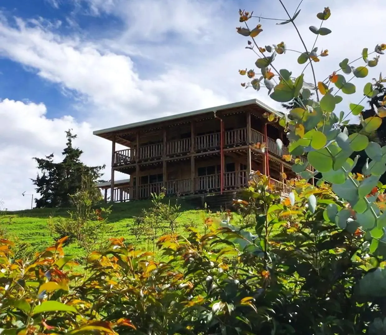 Eco Hotel Nigueito Medellín Kemp