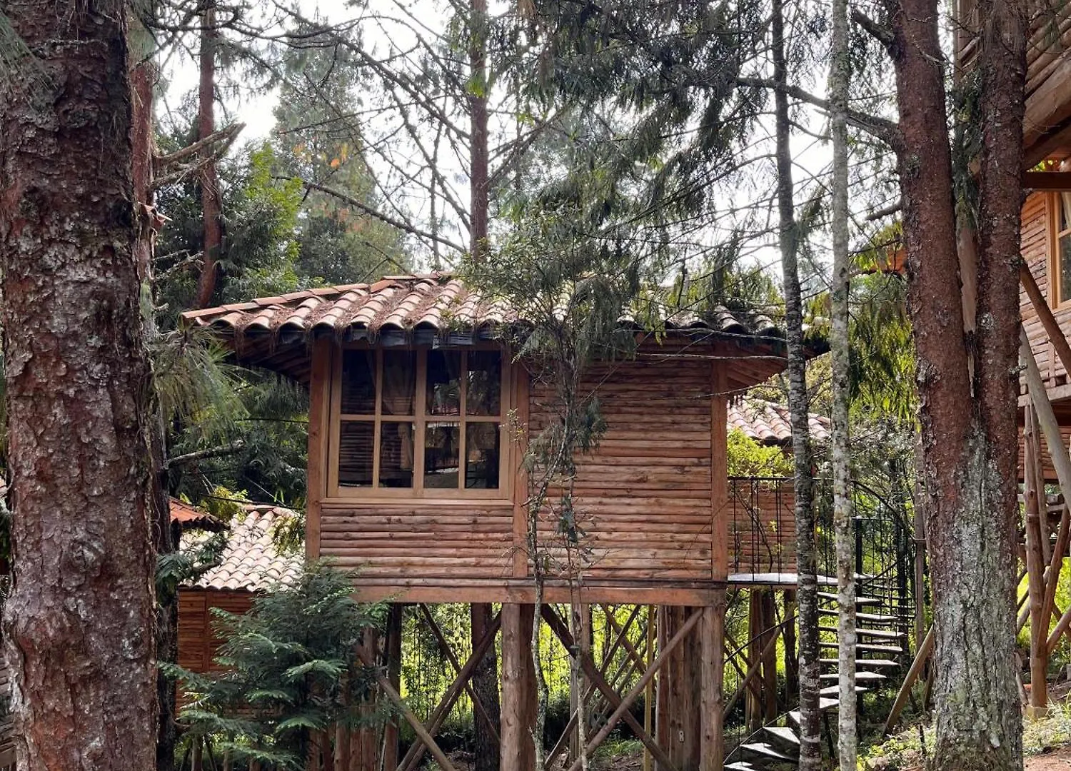 Eco Hotel Nigueito Medellín 0*,