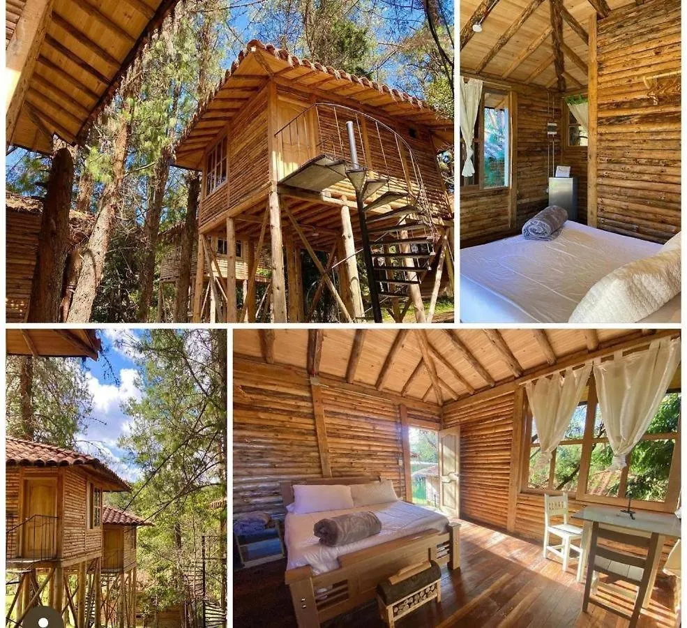 מדיין Eco Hotel Nigueito אתר קמפינג