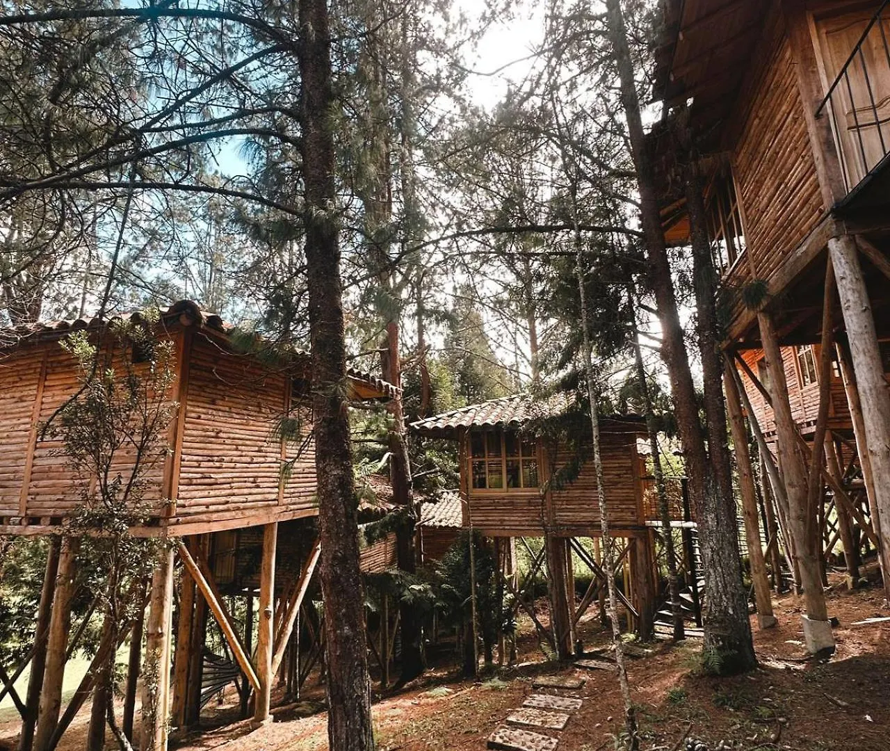 מדיין Eco Hotel Nigueito