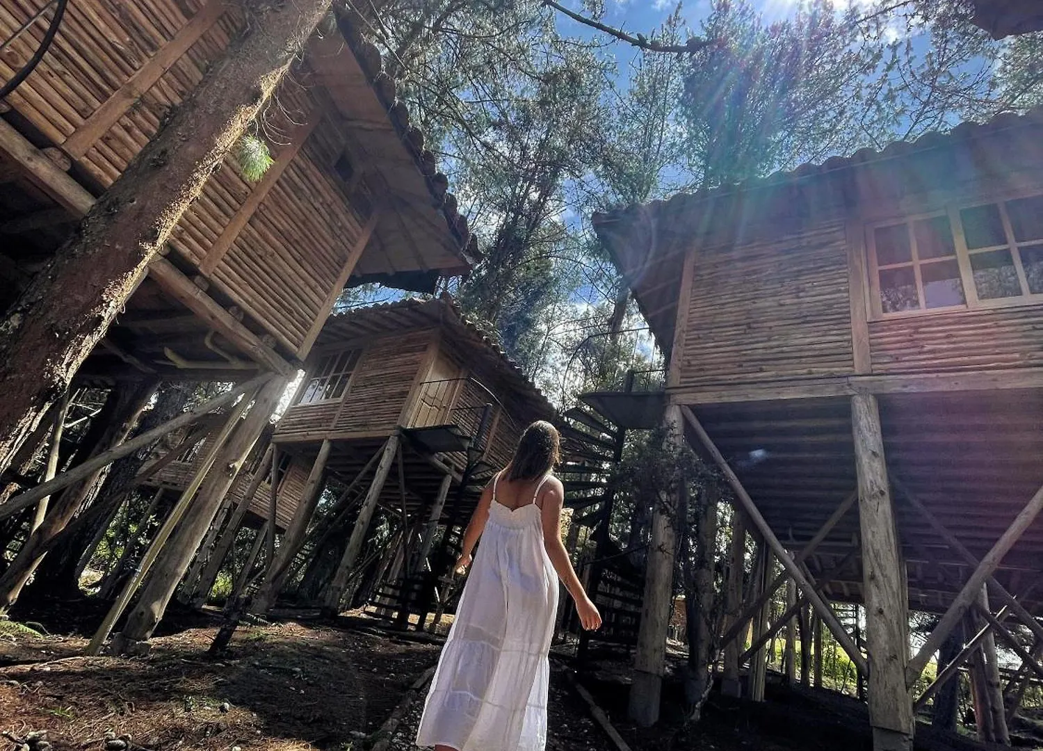 מדיין Eco Hotel Nigueito