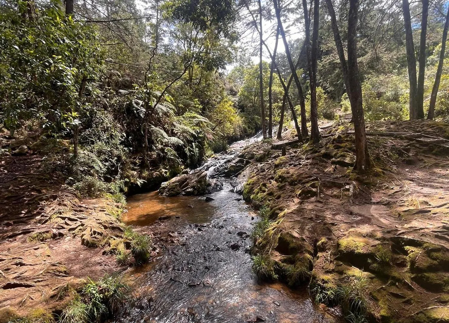 אתר קמפינג מדיין Eco Hotel Nigueito